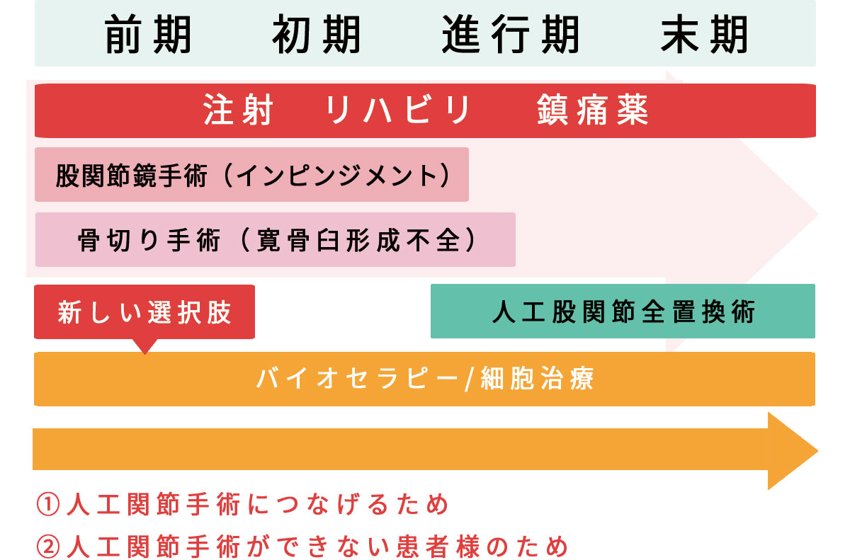 股関節疾患保険治療