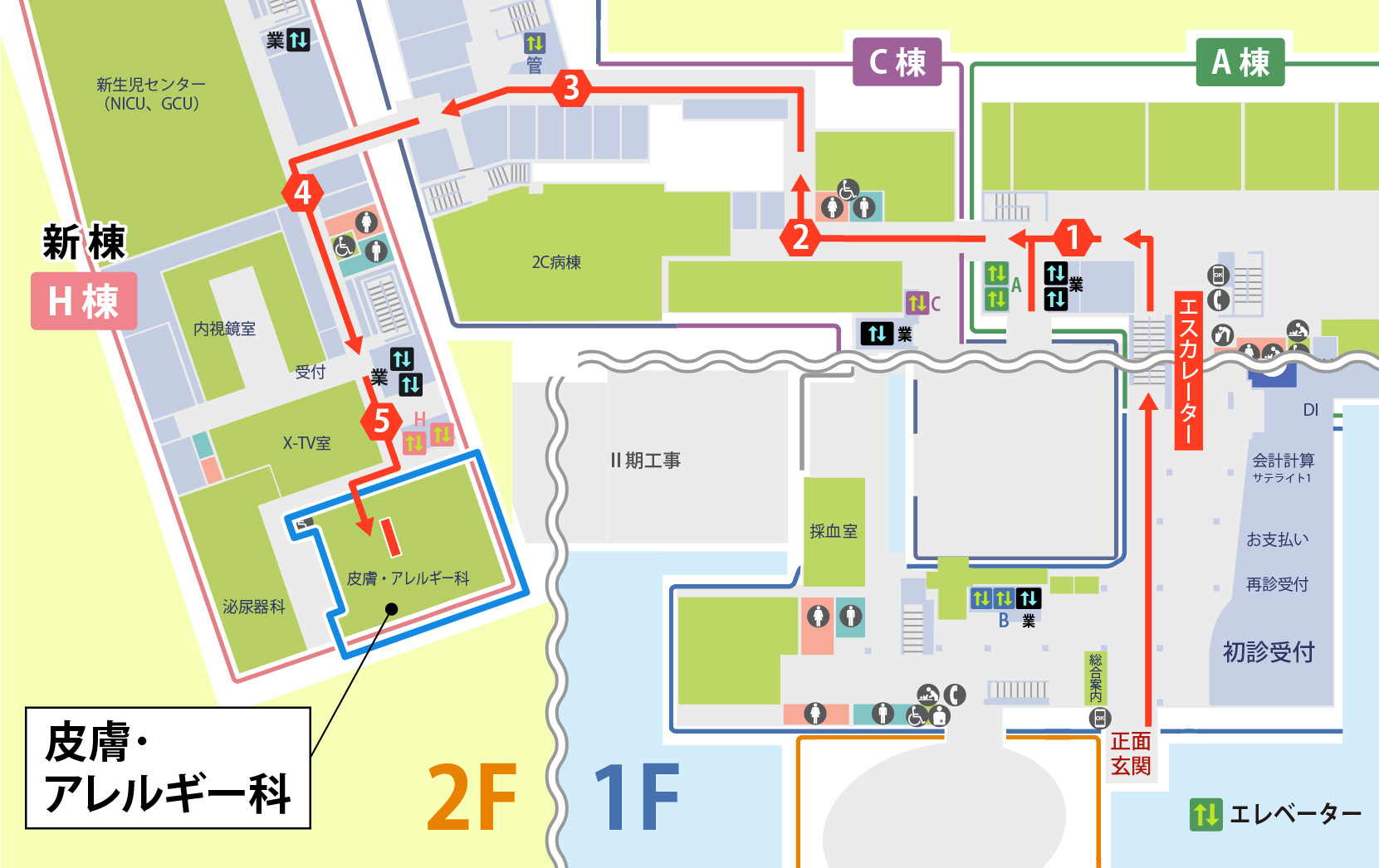 ⽪膚・アレルギー科外来への経路